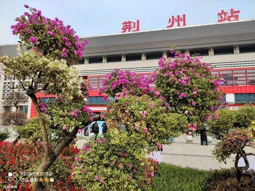 邯鄲到荊州物流公司-貨運專線-價格優(yōu)惠