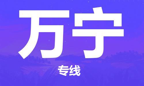 邯鄲到萬(wàn)寧物流專線-貨運(yùn)直達(dá)-直送各區(qū)域-專業(yè)物流管理服務(wù)