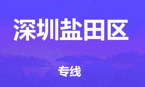 邯鄲到深圳鹽田區(qū)物流公司-電商貨物運(yùn)輸專線-時間準(zhǔn)時