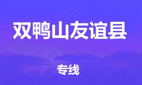 邯鄲到雙鴨山友誼縣物流專線-跨省搬家運(yùn)輸專線-直達(dá)運(yùn)送