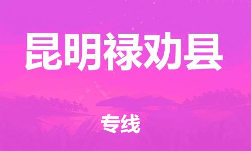 邯鄲到昆明祿勸縣物流專線-物流專線快速直達(dá)-快速準(zhǔn)時(shí)